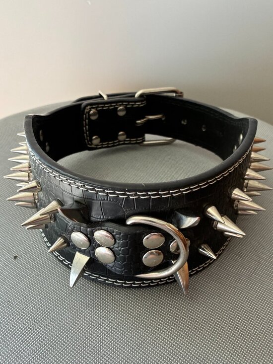 Other - Leather dog collar - black - Collier en cuir noir pour chien avec des pics.